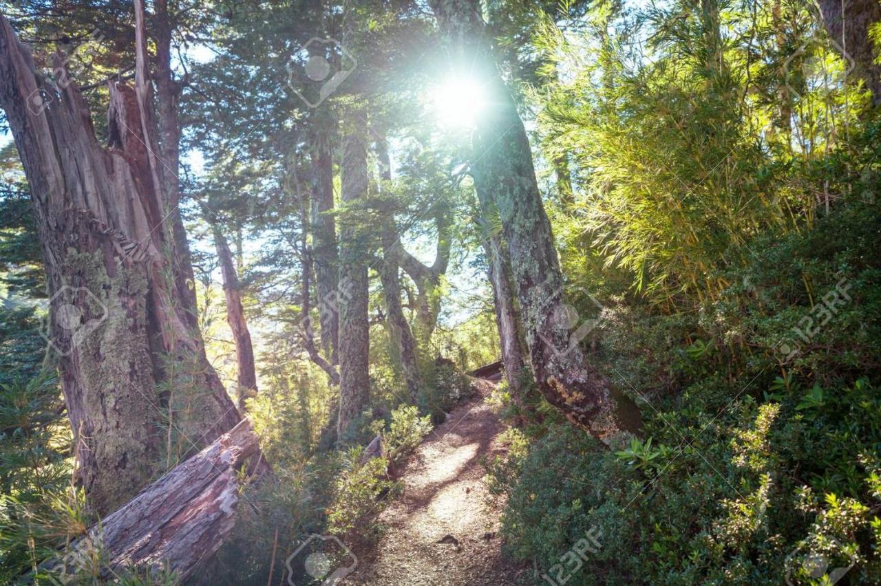 Foret Austral Ranomafana Exterior photo
